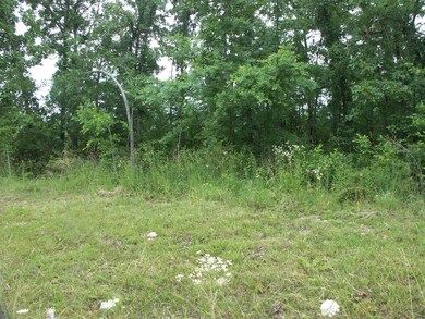 Lot 16 Diamond View, Kimberling City, MO 65686 - photo 2
