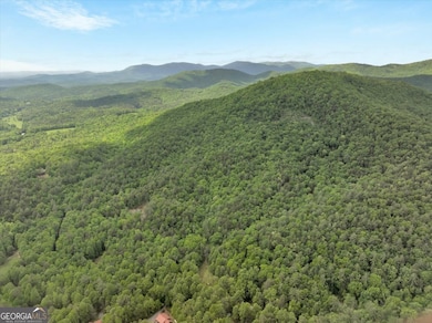 447 Creekview Dr, Ellijay, GA 30536 - photo 4