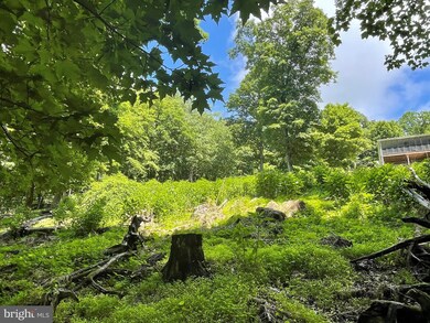 474 Scarlet Tanager Trail, Franklin, WV 26807 - photo 6