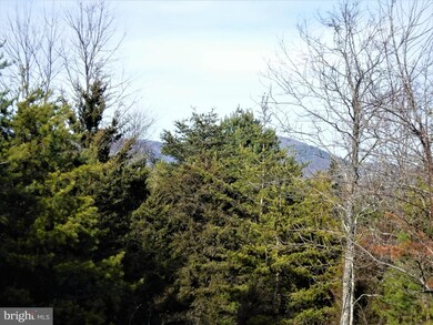 0 Jerome Rd, Mount Jackson, VA 22842 - photo 7