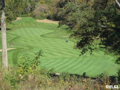 4517 N Tallgrass Ln, Peoria, IL 61615 - photo 7