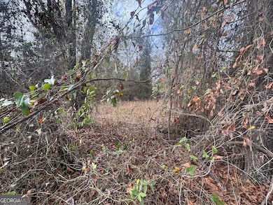 PARCEL A Wiggum Rd & St James Rd, Cochran, GA 31014 - photo 5