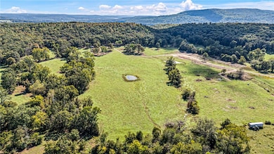 TRACT 1- 13610 Arkansas 105, Hector, AR 72843 - photo 4