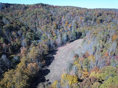 DJI_0184