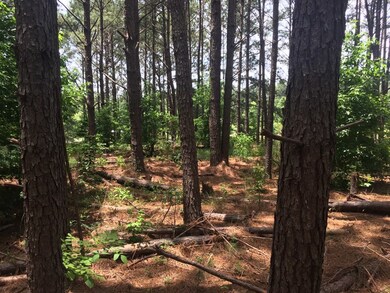 14523 Beckenridge Dr, Upatoi, GA 31829 - photo 6