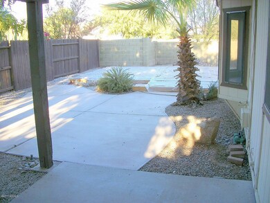 Back Patio