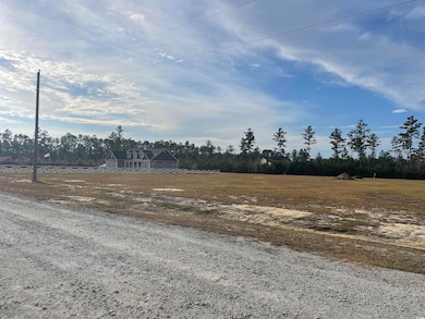 1709 Hemingway Rd, Loris, SC 29569 - photo 3