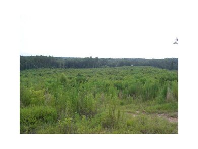 0 Bill Pace Rd, Franklinton, LA 70438 - photo 3