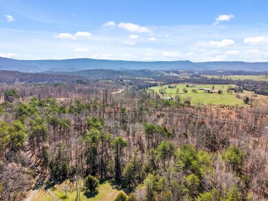 07-DJI_20250317112905_0320_D