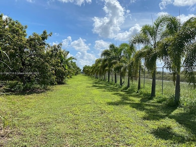 Fenced and lined with palm trees around perimeter.