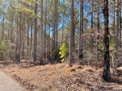 TBD County Road 447, Oxford, MS 38655 - photo 3