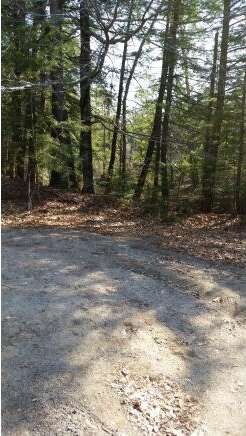 View from town property (2)