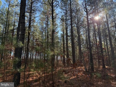 0 Longwood Dr unit VALA2007086, Louisa, VA 23093 - photo 2
