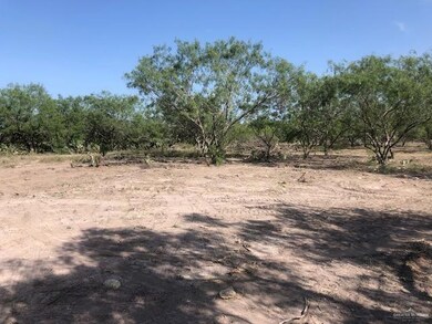 4608 E Mile 12 N, Weslaco, TX 78599 - photo 3