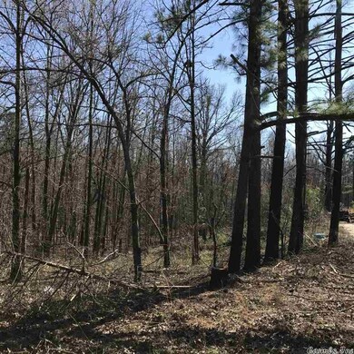 354 Greene 720 Rd, Paragould, AR 72450 - photo 4