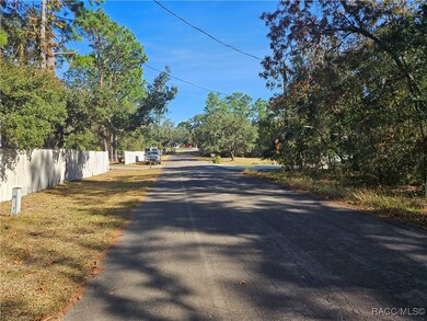 296 E Foster Ct, Lecanto, FL 34461 - photo 4