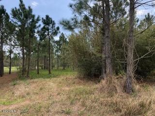 Perniciaro property 5