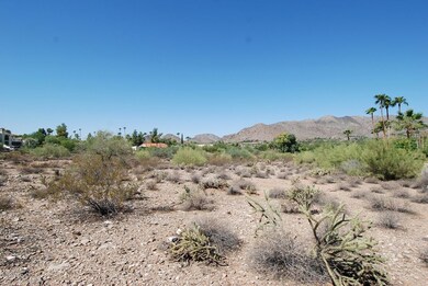 SW View