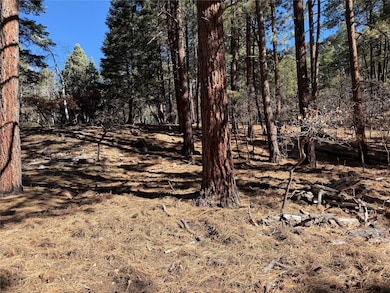TBD Brazos Lodge Spruce, Chama, NM 87520 - photo 5