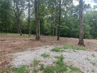 827 Brush Creek Rd, Springdale, AR 72762 - photo 6