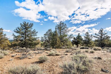 1 Farview Dr, Bend, OR 97703 - photo 5