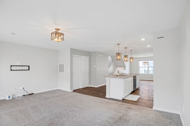 820 Briar Glen Ct, Hampshire, IL 60140 - photo 5