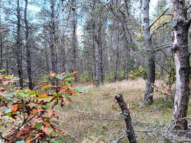 1433 S Peacock Trail, Baldwin, MI 49304 - photo 2