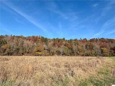 TBD Cr 4730, Hagarville, AR 72839 - photo 3