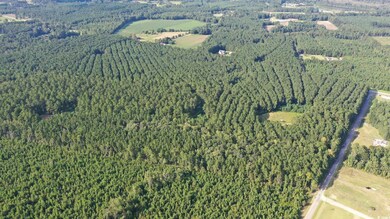 0 Powell Loop, Andrews, SC 29510 - photo 2