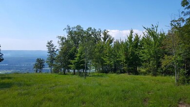 155 Bear Crawl Rd, Jasper, TN 37347 - photo 6