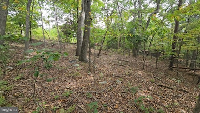 Lot 20 Long View Dr, Luray, VA 22835 - photo 3
