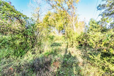 4591 Highway W, Byrnes Mill, MO 63051 - photo 4