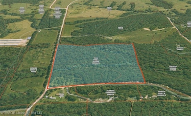 12401 Readings Rd, Gentry, AR 72734 - photo 5