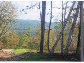 24 Richards Way, Farmington, NH 03835 - photo 2