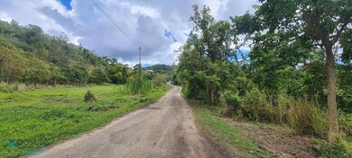 1 Carr 726 Km 1 8 Bo Caonillas, Aibonito, PR 00705 - photo 2