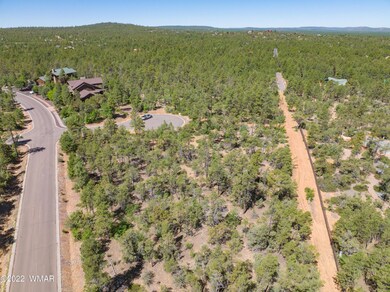 1680 S Twin Peak Trail, Show Low, AZ 85901 - photo 5