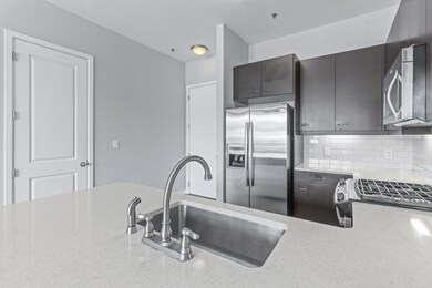 Kitchen Quartz Counters & Sink
