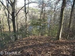 000 Shannon Ct, Deep Gap, NC 28618 - photo 4