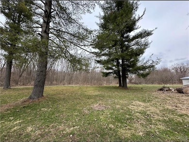 207 S Mechanic St, Carthage, NY 13619 - photo 4