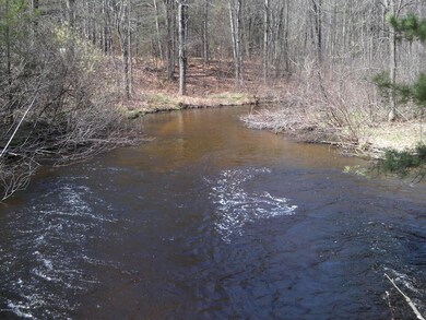 1 W Baseline Rd, White Cloud, MI 49349 - photo 2