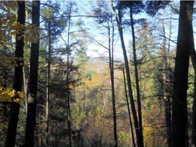 0 S Main St unit 4619633, Charlestown, NH 03603 - photo 3