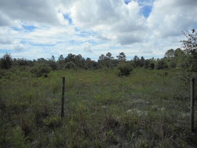 0 Kasey Ln, Crawfordville, FL 32327 - photo 2