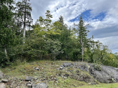 74 Bluff Point Dr, Plattsburgh, NY 12901 - photo 6