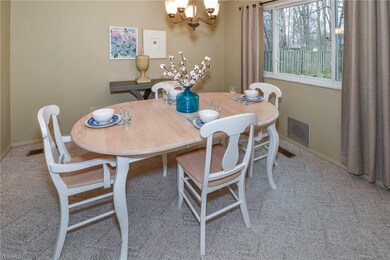 26288 Hickory Ln, Olmsted Falls, OH 44138 - photo 6