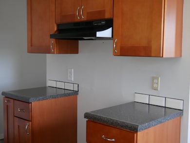 21296 Farm Road 2100, Aurora, MO 65605 - photo 7