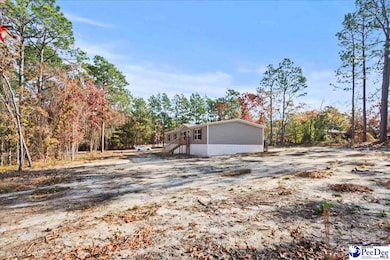 2315 Sampit Dr, Hartsville, SC 29550 - photo 6