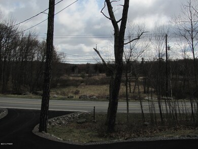 128 Canoe Brook Dr, Hawley, PA 18428 - photo 4