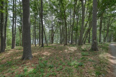 Perkins_Point_Road_9531