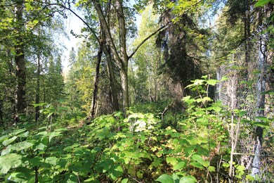 5939 E 38th Ct, Anchorage, AK 99504 - photo 2