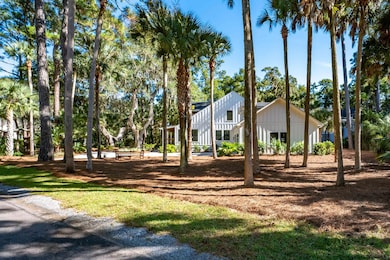 3201 Wood Duck Place, Johns Island, SC 29455 - photo 3